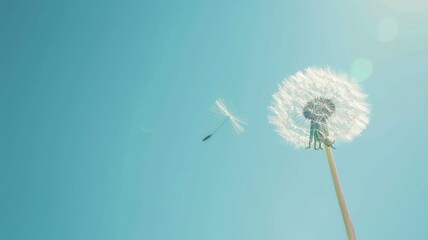 Delicate dandelion seed floating away in clear sky