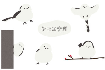 色々なポーズのシンプルなシマエナガのイラスト