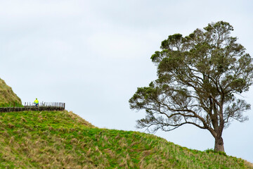One Tree Hill - Auckland - New Zealand