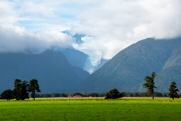 Fox Glacier - New Zealand