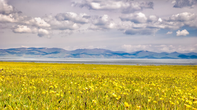 son kul mountain lake in kyrgyzstan is located at an altitude of over 3000 meters