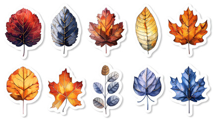 Obraz premium collection of autumn leaves