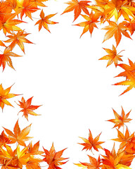 Autumn leaves frame isolated on transparent background. PNG
