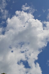  KENERONG RIVER ,DABONG,KELANTAN