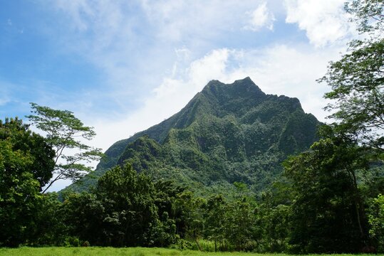 Mt Rotui view - Moorea Island	