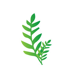 flat green leaves nature botanical