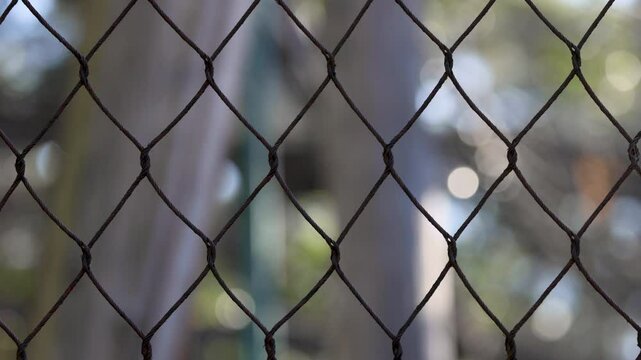 Blurred Zoo Fence in Melbourne