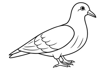 Dovekie icon vector line art illustration