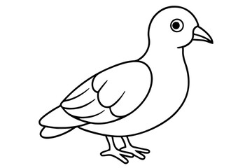 Dovekie icon vector line art illustration