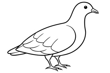 Dovekie icon vector line art illustration