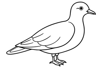 Dovekie icon vector line art illustration