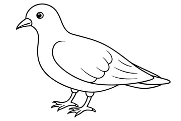 Dovekie icon vector line art illustration