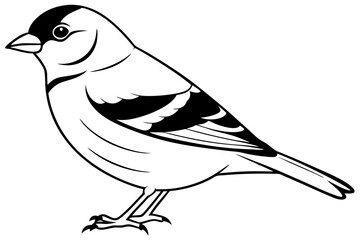 Chaffinch icon vector line art illustration