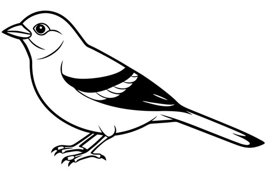 recommend clip art: Chaffinch icon vector line art illustration
