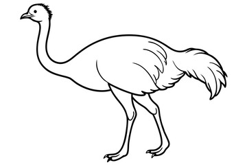 Emu icon vector line art illustration