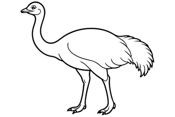 Emu icon vector line art illustration