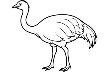 Emu icon vector line art illustration
