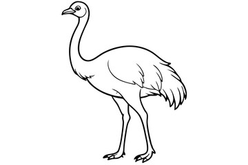 Emu icon vector line art illustration