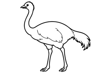 Emu icon vector line art illustration