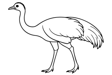 Emu icon vector line art illustration