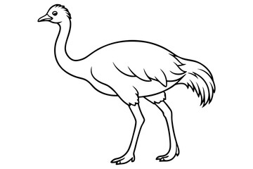 Emu icon vector line art illustration