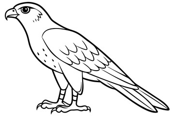 Cooper's Hawk icon vector line art illustration