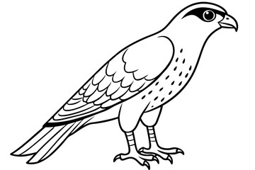 Fototapeta premium Cooper's Hawk icon vector line art illustration