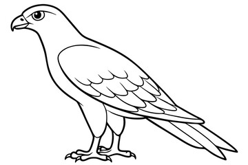 Cooper's Hawk icon vector line art illustration