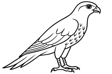 Cooper's Hawk icon vector line art illustration