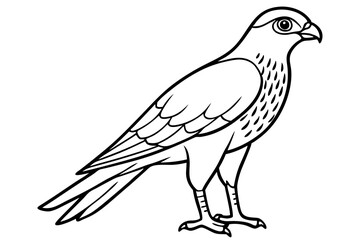 Cooper's Hawk icon vector line art illustration
