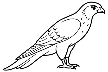 Cooper's Hawk icon vector line art illustration