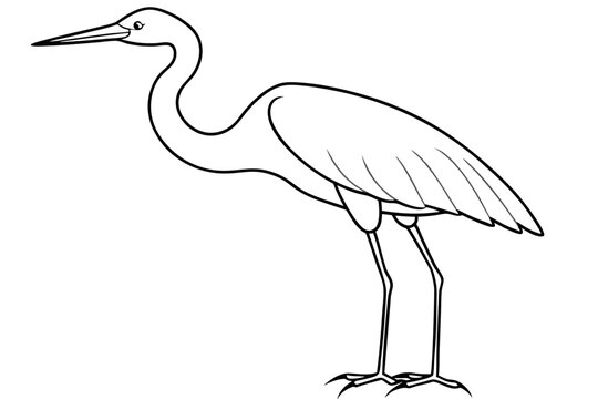 recommend clip art: Great Egret icon vector line art illustration