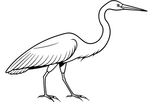 recommend clip art: Great Egret icon vector line art illustration