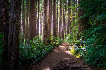 Falcon Point Trail Oregon