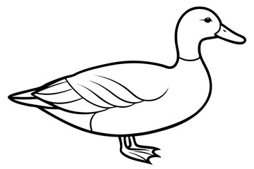 duck vector icon isolated on white background