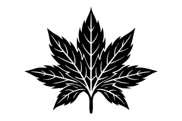 Frost leaf icon silhouette vector illustration