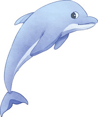 Dolphin Watercolor Illustration