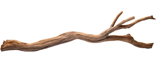 Branch of a dry old tree isolated on transparent background