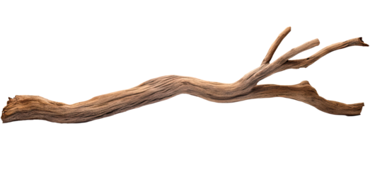 Branch of a dry old tree isolated on transparent background