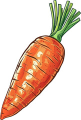 Carrot isolated on transparent background. PNG