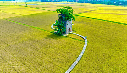 Aerial view of an abandoned old brick kiln under the background of ripe rice fields in central...