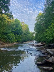 river in the woods