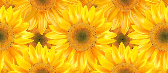 Obraz premium Seamless pattern flower sunflower summertime Cheerful Sunflower Floral Background