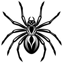 Spider icon silhouette vector illustration white background