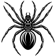 Spider icon silhouette vector illustration white background