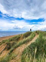 Obraz premium Laholm Bay Beach, Laholmsbuktens beach, the longest sandy beach in Sweden with beautiful dunes and meadows and a view of the sea in summer, Mellbystrand, Halland, Sweden 