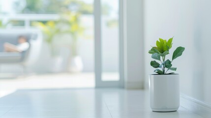 Caring home assistant helping elderly with daily tasks, a warm and supportive environment, emphasizing comfort and aid in a modern home setting