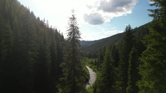 Aerial reveal creek at sunset in northern Idaho mountains at sunset