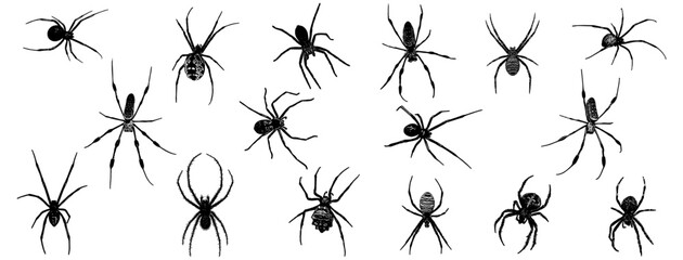 Vector silhouette illustration set of a spider for halloween and spider day