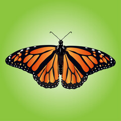Beautiful orange Monarch Butterfly flying isolated on green nature background, vector illustration